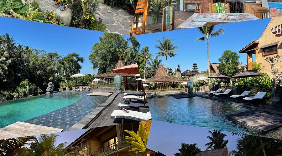 Elite Housing That Creates Lasting Impressions